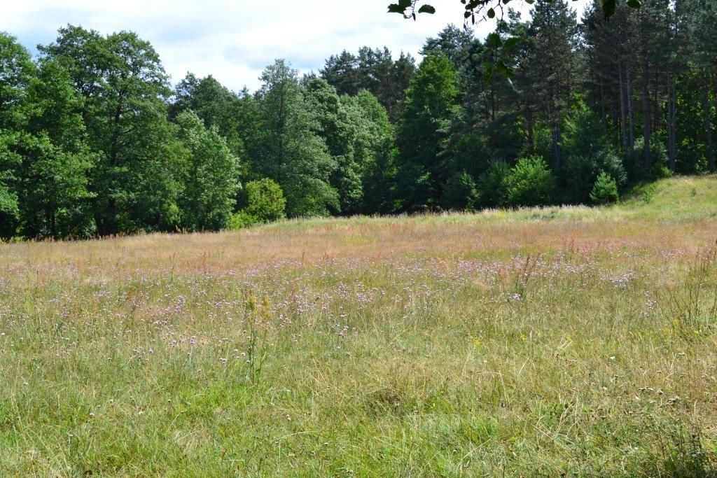 Загородные дома Agroecousadba Tarusichi Гродно