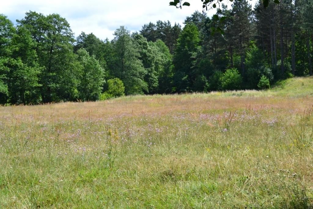 Загородные дома Agroecousadba Tarusichi Гродно